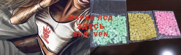 PSILOCYBIN Абдулино