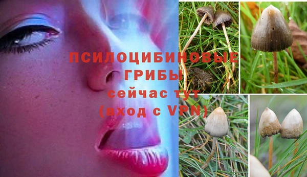 Альфа ПВП Алзамай