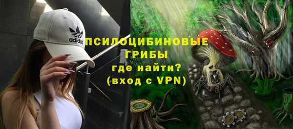 PSILOCYBIN Абдулино