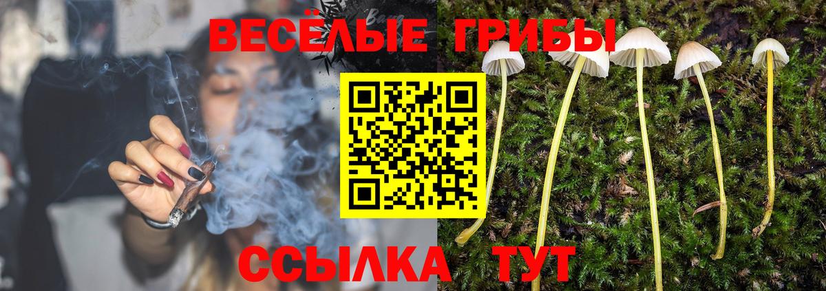 Анапа  Галлюциногенные грибы Cubensis  наркошоп  Вход с VPN 